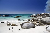 Boulders Beach - Bezienswaardigheden Zuid-Afrika