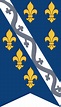 Kingdom of Bosnia - Wikipedia | Bosnia, Kingdom, Flag