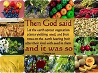 Genesis 1:11 Let The Earth Sprout Vegetation (gold) | Vegetation, Fruit ...
