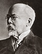 Georg Von Hertling (1843-1919) Photograph by Granger | Pixels