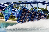 SeaWorld Orlando A Theme Park In Orlando, Florida | Travel Featured