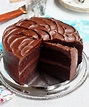 The BEST Moist Chocolate Cake – Scientifically Sweet
