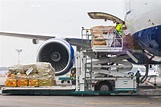 El Transporte aéreo de mercancías peligrosas. Requisitos y normativa
