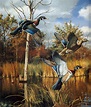 David Maass | Waterfowl art, Bird art, Birds painting