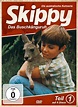 Skippy | Das Buschkänguruh - Staffel 1 DVD auf DVD online kaufen ...