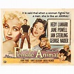 "The Female Animal" 1958 U.S. Half Sheet Film Poster For Sale at 1stDibs