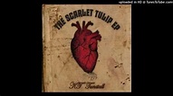 Scarlet Tulip // KT Tunstall - YouTube