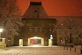 Università Johannes Gutenberg di Magonza - Wikipedia