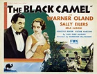 Image gallery for The Black Camel - FilmAffinity