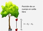 Caída libre - Ecuaciones, ejemplos, soluciones