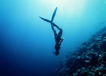 Deepest Free Dive – Freediving Records – Surfango – The #1 Source for ...