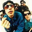 Fuzzy Logic: the story of the Super Furry Animals - Herald Wales