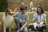 Lassie - Ein neues Abenteuer (#226542) - Filmspiegel Essen