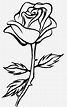 Rose black and white free roses clip art pictures - WikiClipArt