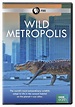 Wild Metropolis: Amazon.in: Studios, Bbc: Movies & TV Shows