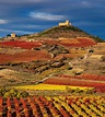Viñedos en La Rioja, Spain. Vineyards and a castle. Castillo de ...