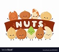 Cute happy nuts banner flat cartoon Royalty Free Vector