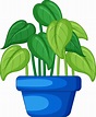 Plant in a pot in cartoon 7700435 Vector Art at Vecteezy