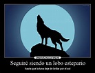 Descubrir 81+ imagen frases de lobo estepario - Viaterra.mx