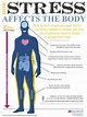 How Stress Affects the Body - Central Jersey Dental Sleep Medicine