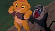 3d disney company rafiki the lion king cartoons wallpaper | Rey leon ...