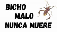 Bicho malo nunca muere – 1001 Reasons To Learn Spanish