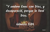 La Biblia - Gênesis - 5:24