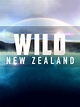 Wild New Zealand - Rotten Tomatoes
