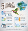 5 Tips para ahorrar agua (Infografía) – Agua.org.mx