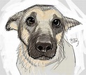 Puppy-eyes by EJ-Su | Animal drawings, Dog art, Dog drawing