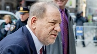 Jurors in the Harvey Weinstein Trial Had to See Photos of His 'Deformed ...