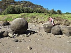 Round the Rocks: Curious New Zealand Concretions: Koutu Boulders