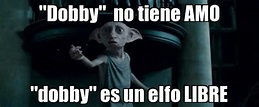 Dobby el elfo libre | Elfo, Dobby elfo, Dobby harry potter