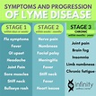Symptoms and Stages of Lyme Disease | Infinity Wellness Center