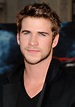 Liam Hemsworth Ready To Show Fans Independence Day 2 Will Not Flop ...