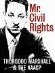 Mr. Civil Rights: Thurgood Marshall and the NAACP (2014) - IMDb
