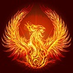 Living in the Year of the Phoenix - discoversamuel.com