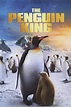 The Penguin King - Rotten Tomatoes