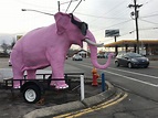 Curious Nashville: The Story Behind A Pink Elephant On Charlotte Pike ...