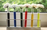 Regenbogenblumen - Experimentieren mit Farben - Montessori Blog & Shop ...
