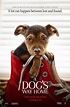 Poster A Dog's Way Home (2019) - Poster Drumul unui câine către casă ...