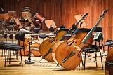 Orchestra vs Symphony: What's the Difference? - Differencely