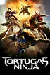 Ver Tortugas Ninja 2014 online HD - Cuevana