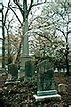 Category:Ivy Hill Cemetery (Alexandria, Virginia) - Wikimedia Commons