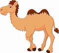 Vinilo Pixerstick Cute dibujos animados de camellos • Pixers® - Vivimos ...