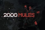 "2000 Mules" Full of Must-See Surprises - The New American