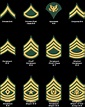 Army: Army Enlisted Ranks