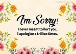 100+ Sorry Messages and Apology Quotes | WishesMsg
