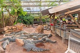 La Ferme aux Crocodiles - Nature et Zoo : l'actualité des zoos