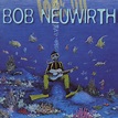 Last Day On Earth: Remembering Bob Neuwirth - Rock and Roll Globe